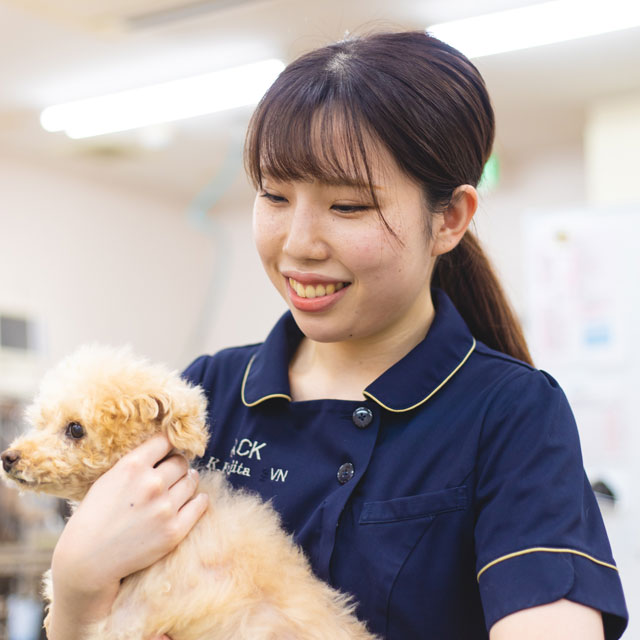 動物看護師 アニマルクリニックこばやし